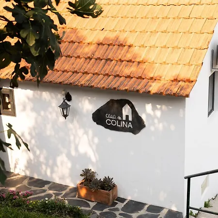 Semesterbostad Casa Da Colina *