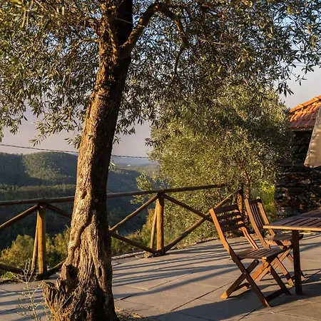 Casa Da Colina Σπίτι διακοπών Amarante