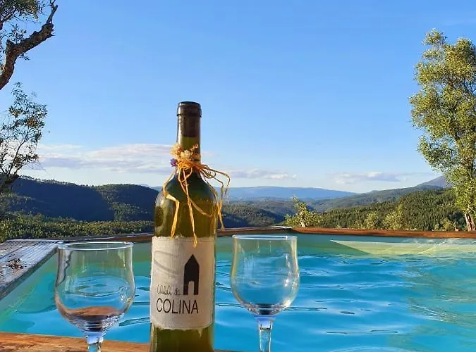 Casa Da Colina 펜션 아마란테