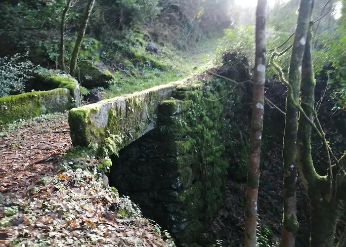 Casa Da Colina * Amarante